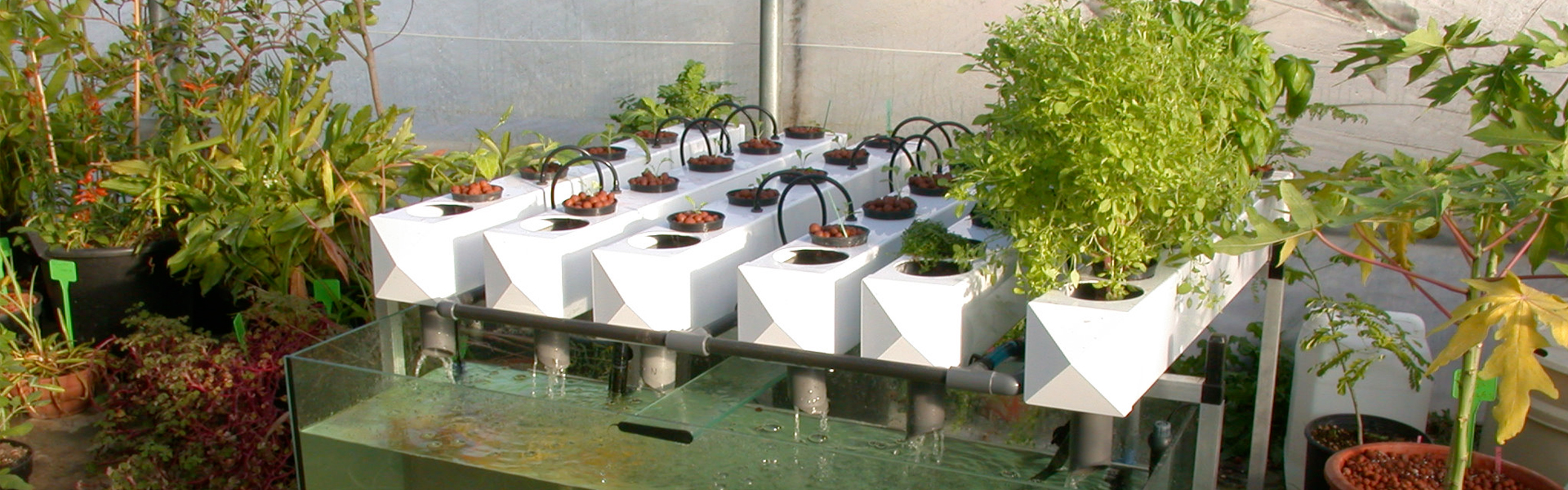 Kit De Culture Hydroponique, Système Hydroponique, Système De Culture Hydroponique En PVC, Système De Formation Hydroponique Pour Légumes Et Fleurs (36 Trous, 4 Tuyaux, 2 Couches